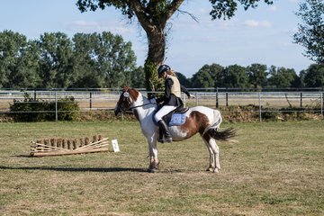 Bild 226 - Pony Akademie Turnier